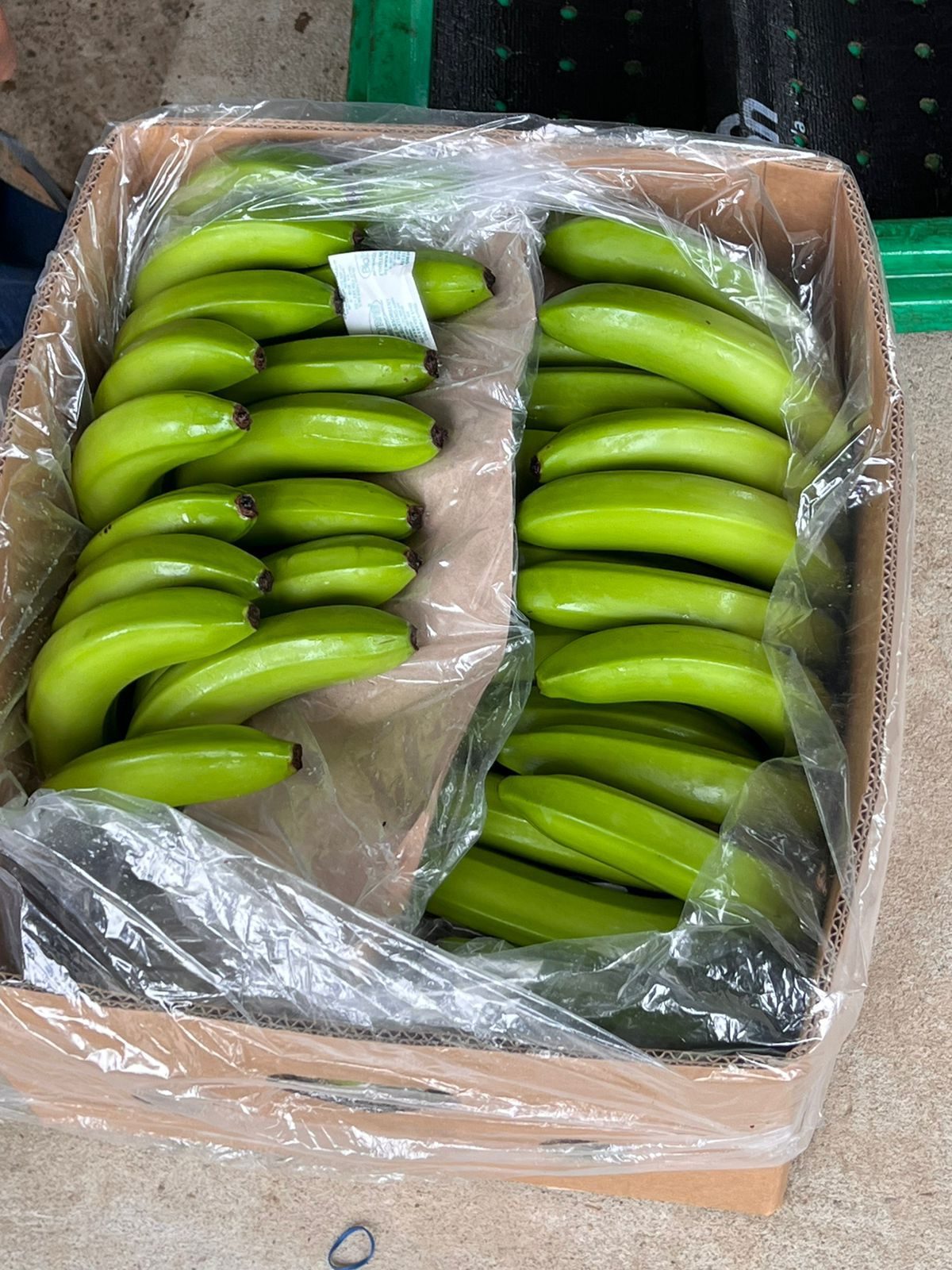 Caja de banano Cavendish empacada en campo