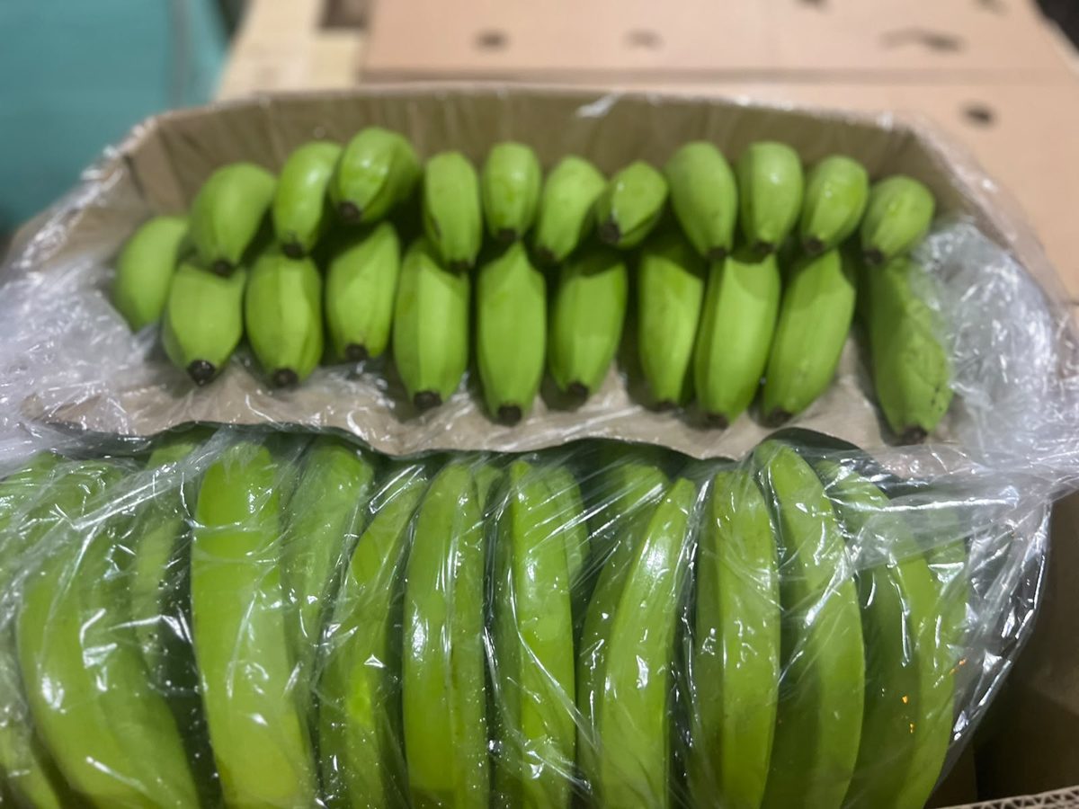 Detalle de dedos de banano Cavendish ordenados en caja